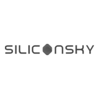 Silicon Sky